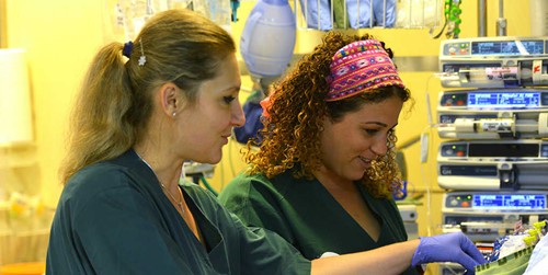 Internationally Educated Practical Nurses - משרד הבריאות